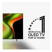 LG 65inch OLED AI B5 4K Smart Televison (2025 Model) - OLED65B56LA.DMEQLWE