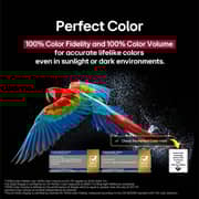 LG 65inch OLED evo AI C5 4K Smart Televison (2025 Model) - OLED65C56LA.AMEQLJD