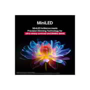 100 inch LG QNED evo AI QNED86 MiniLED 4K 120Hz Smart TV AI Magic remote Dolby webOS25 2025