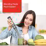 Sanford Hand Blender - SF5510BR