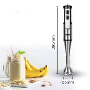 Sanford Hand Blender - SF5510BR