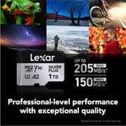 Lexar Professional Silver Plus Micro SDXC 1TB Black/Silver - LMSSIPL001T-BNANG