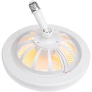 Multi Function Fan Light