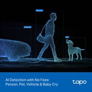 TPLink Dual Lens Security Camera - Tapo C246D