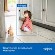 TPLink Security Wi-Fi Camera - Tapo C216