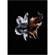 Givenchy L'Interdit Intense Absolu Perfume For Women 80ml Eau de Parfum - 3274872473683