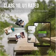 PNY Elite Memory Card 128GB Green/Grey - P-SDU128X2U1100EL-GE
