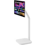 LG Monitor 31.5