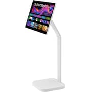 LG Monitor 31.5