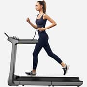 Kingsmith WalkingPad X218 Foldable Treadmill - WP510B4