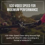 PNY Premier-X Memory Card 256GB Black/Green - P-SDU256X2V31100PX-GE