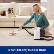 Tineco iSpot Cleaner Black/White - SC050900SA