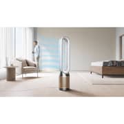 Dyson Purifier Cool PC2 Air Purifier Nickel/Gold - TP12 - International Version