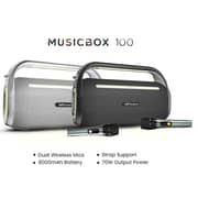 HiFuture Bluetooth Speaker With Dual Mic Silver - MusicBox100