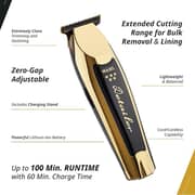 Wahl 5 Star Gold Detailer Li Trimmer - 8171-700
