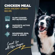 Blackwood Chicken & Ancient Grains For Puppy 4.5lb (Pack of 1pc)