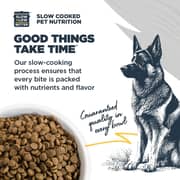 Blackwood Chicken & Ancient Grains For Puppy 4.5lb (Pack of 1pc)