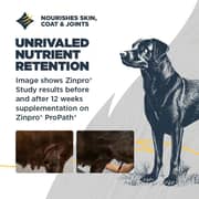 Blackwood Chicken & Ancient Grains For Puppy 4.5lb (Pack of 1pc)