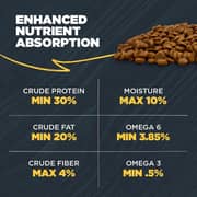 Blackwood Chicken & Ancient Grains For Puppy 4.5lb (Pack of 1pc)