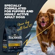Blackwood Chicken & Ancient Grains For Puppy 4.5lb (Pack of 1pc)