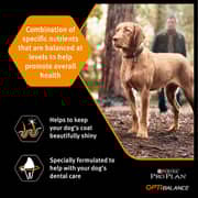 Purina Proplan Small & Mini Adult Chicken For Dog 3kg (Pack of 1pc) - 2017464729100