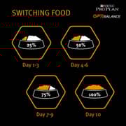 Purina Proplan Small & Mini Adult Chicken For Dog 3kg (Pack of 1pc) - 2017464729100