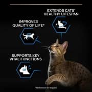 Purina Proplan Longevis Salmon For Senior Cat 3kg (Pack of 1pc) - 2017456638927