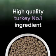 Purina Proplan ALiveclear Turkey For Sterilized Adult Cat 1.4kg (Pack of 1pc) - 2017464635281