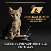 Purina Proplan Turkey Wetfood For Kitten 85g (Pack of 1pc) - 2017463219632