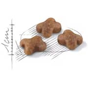 Royal Canin Feline Health Nutrition Dry Food For Kitten 4kg - 2017308959116