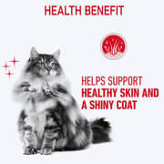 Royal Canin Skin & Hair Wet Food For Cats 85g - 2017401950768