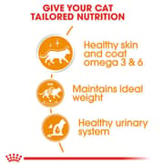Royal Canin Skin & Hair Wet Food For Cats 85g - 2017401950768