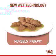 Royal Canin Indoor Gravy Wet Food For Sterilised Cats 85g - 2017398307443
