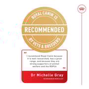 Royal Canin Indoor Gravy Wet Food For Sterilised Cats 85g - 2017398307443