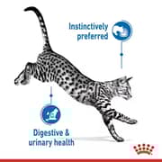 Royal Canin Indoor Gravy Wet Food For Sterilised Cats 85g - 2017398307443