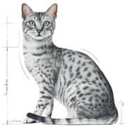 Royal Canin Indoor Gravy Wet Food For Sterilised Cats 85g - 2017398307443