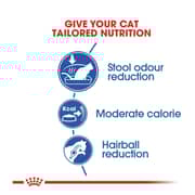 Royal Canin Health Nutrition Dry Food For Indoor Cats 10kg - 2017438337613