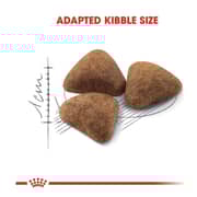 Royal Canin Health Nutrition Dry Food For Indoor Cats 10kg - 2017438337613