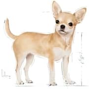 Royal Canin Nutrition Dry Food For Adult Chihuahua Dog 1.5kg - 2017229265294