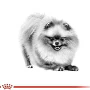 Royal Canin Nutrition Dry Food For Adult Pomeranian Dog 1.5kg - 2017222982005