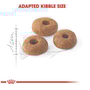 Royal Canin Feline Care Nutrition Fit 32 Dry Food For Adult Cat 2kg - 2017228386043