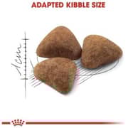 Royal Canin Feline Health Nutrition Dry Food For Indoor Cat 2kg (Pack of 1pc)