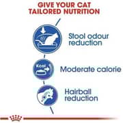 Royal Canin Feline Health Nutrition Dry Food For Indoor Cat 2kg (Pack of 1pc)