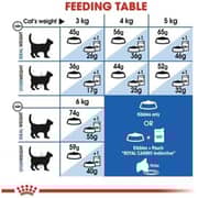 Royal Canin Feline Health Nutrition Dry Food For Indoor Cat 2kg (Pack of 1pc)