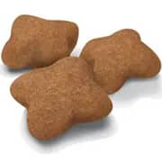 Royal Canin Feline Nutrition Dry Food For Sterilized Kitten 2kg - 2017225864811