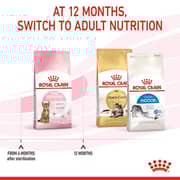 Royal Canin Feline Nutrition Dry Food For Sterilized Kitten 2kg - 2017225864811