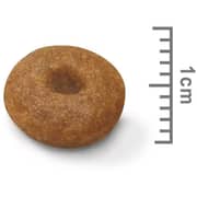 Royal Canin Nutrition Maxi Starter Dry Food For Mother & Baby Dog 4kg - 2017225265930