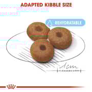 Royal Canin Nutrition Maxi Starter Dry Food For Mother & Baby Dog 4kg - 2017225265930