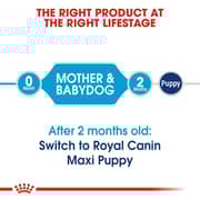 Royal Canin Nutrition Maxi Starter Dry Food For Mother & Baby Dog 4kg - 2017225265930