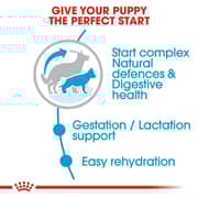 Royal Canin Nutrition Maxi Starter Dry Food For Mother & Baby Dog 4kg - 2017225265930